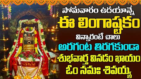 లింగాష్టకం Lingastakam Brahma Murari Surarchitha Lingam Lord Shiva