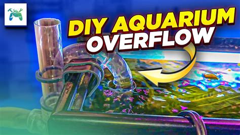 How To Make A Fish Tank Overflow Without Drilling The Glass Diy