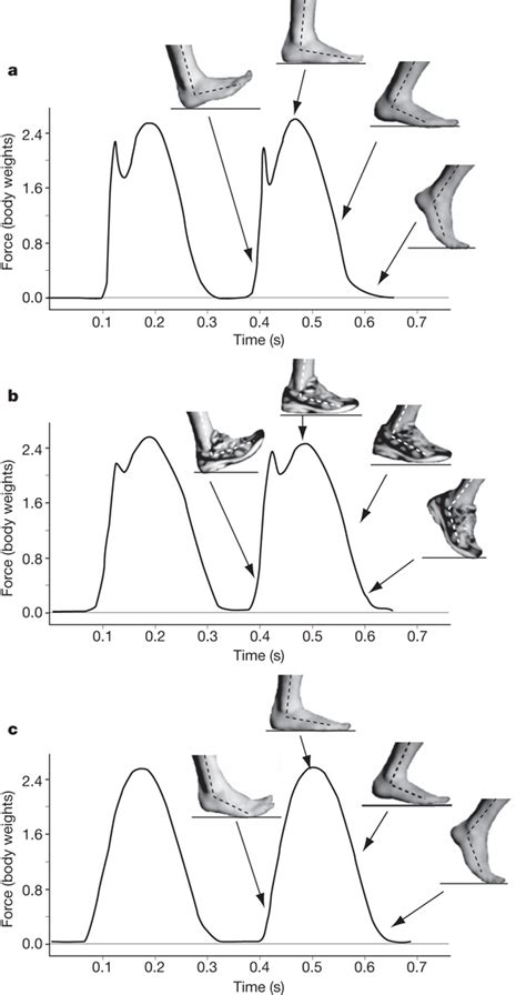 Barefoot Forefoot Strike And Heel Strike A Biomechanics Summary