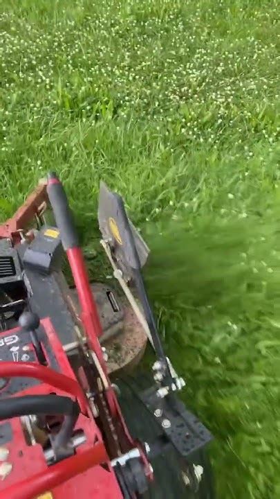 Toro Grandstand Mowing Tall Grass Torograndstand Lawncare Shorts