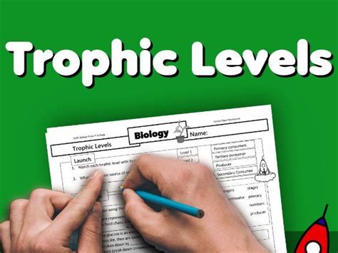 Trophic Levels Home Learning Worksheet GCSE | Teaching Resources