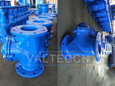 Ball Check Valves Exported To Europe For Water Treatment Applications