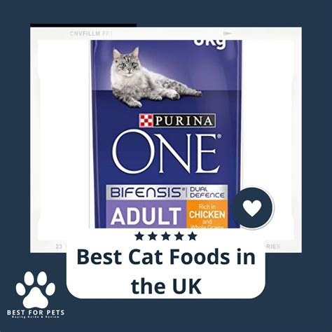 15 Best Cat Foods In The Uk BestForPets Org