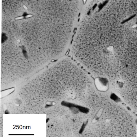 Microstructures Processing Selective And Micro Option Flashcards