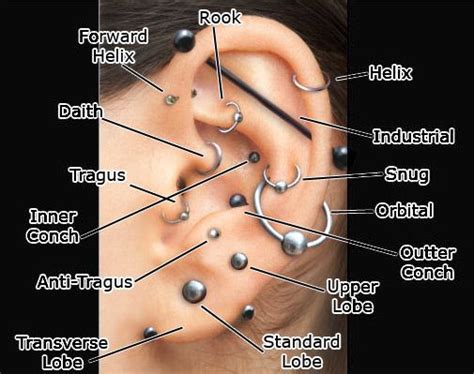 Ear Piercing Guide Chart