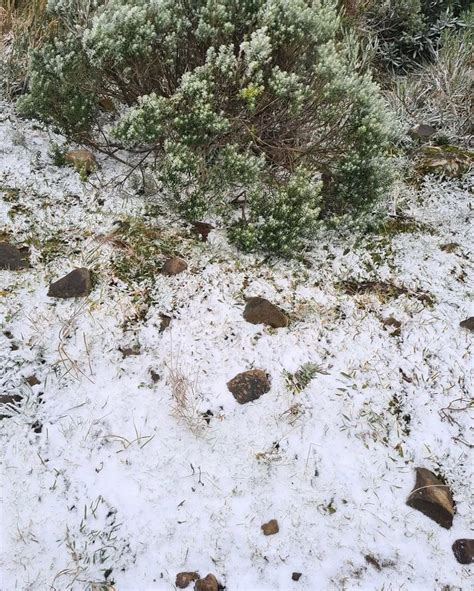 Primeira neve de 2022 em SC é registrada em Urupema Jornal de Brasília