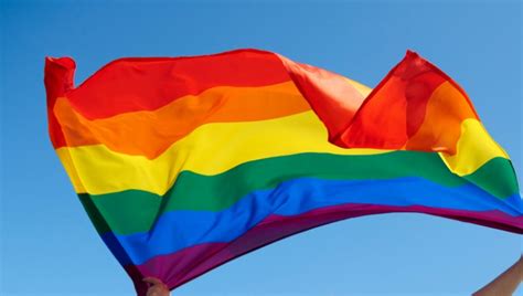 De Maio Dia Internacional Contra A Homofobia Transfobia E Bifobia