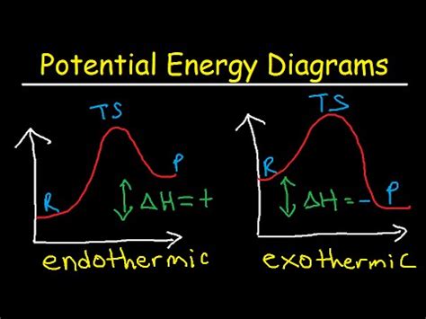 Potential Energy Diagram Labeled