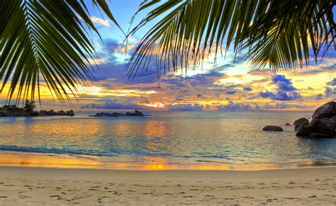 Tropical Sunset Serenity Hd Wallpaper