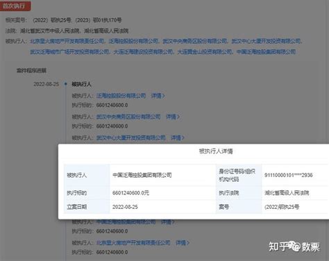 累计被执行标的超222亿丨泛海控股，流动性危机诉讼缠身 知乎