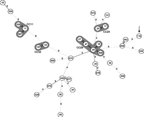 Minimum Spanning Tree Based On Mlst Of The Sfp Positive Ehec