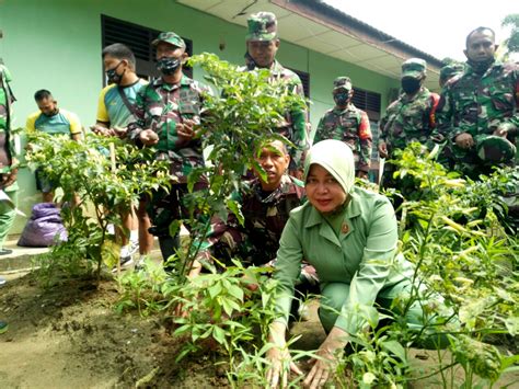 Kodim 1406 Gelar Sosialisasi Budidaya Porang PENARAKYAT