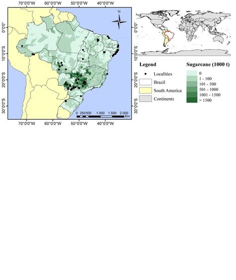 Locations Used In The Study And Municipal Sugarcane Production In