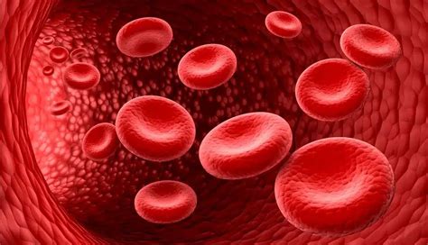 Five Rarest Blood Types In Humans Healthleads