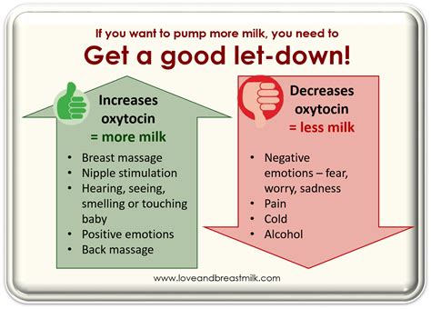 How To Pump More Breast Milk Love And Breast Milk