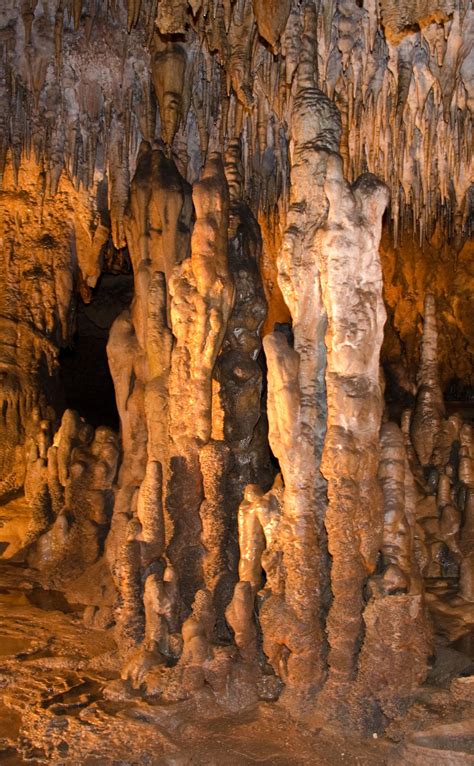 Florida Caverns State Park Florida Caverns State Park State Parks