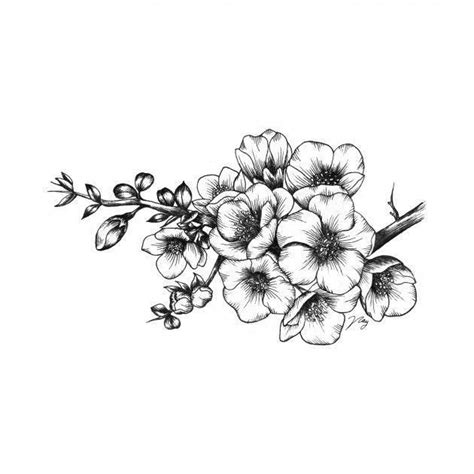 Hawthorn Flower Tattoo Designs Buddhaartdrawingpencileasy