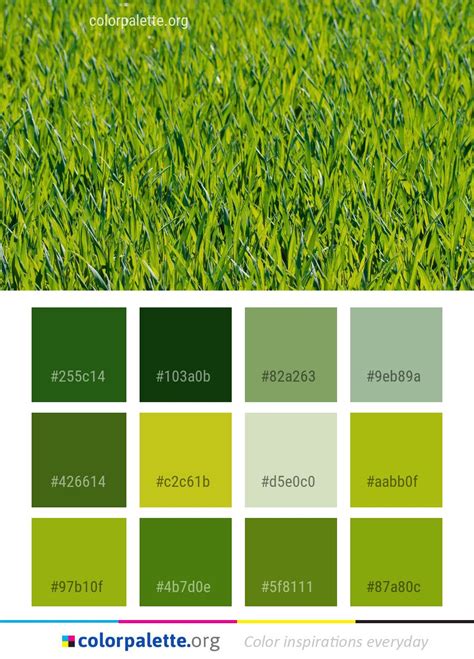 grass green color paint - Leontine Irish