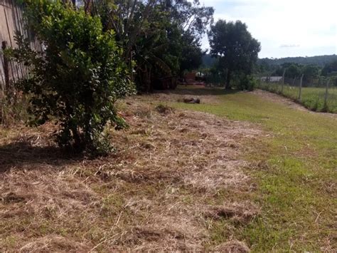 Venta Terreno 625m2 Carqueja Y Menta Obera Argenprop