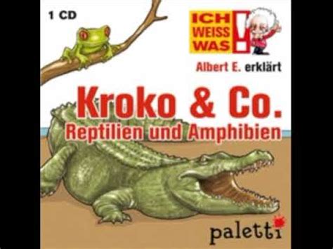 Albert E erklärt Kroko Co YouTube