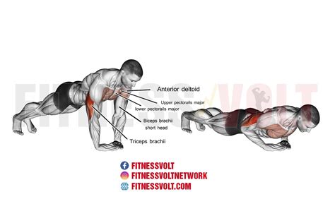 Diamond Push Up Chest Off