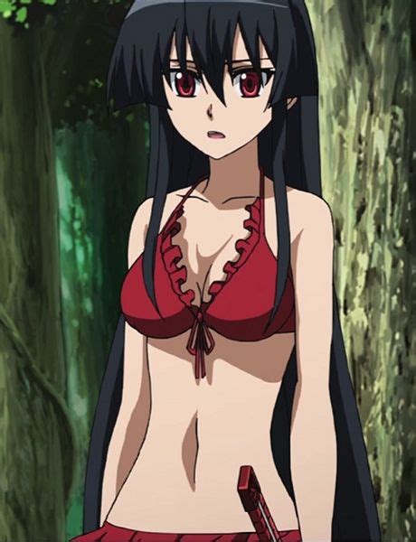 Pin Auf Akame Ga Kill Anime Frau Anime Hintergrundbilder Anime