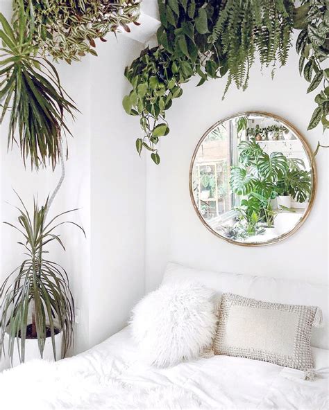 hanging plants trailing plants bedroom decor plants for bedroom plant ...