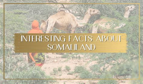 Fun Interesting And Unique Facts About Somaliland