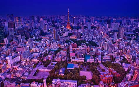 ダウンロード画像 東京 夜 トップビュー 日本の大都市 町並み 日本 市パノラマ 画面の解像度 1920x1200 壁紙デスクトップ上