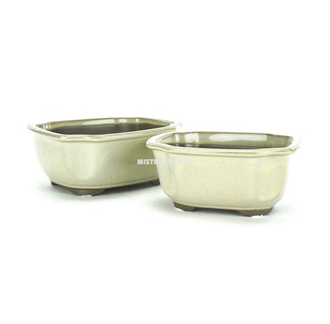 Set Of Oval Bonsai Pots Of Cm Cream Mistral Bonsai