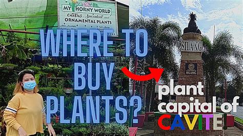 Where To Buy Plants Plant Capital Of Cavite Municipality Of Silang