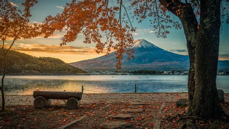 Forest Mountain Japan Japanese Nature Scenery Fuji Lake Autumn