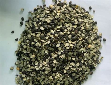 Black Urad Chilka Dal Pan India High In Protein At Rs Kg In West