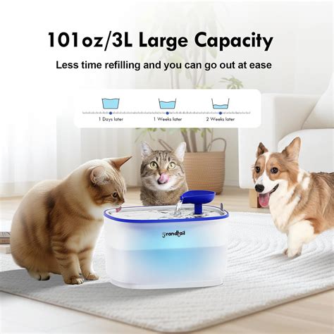 Grandtail Fuente de agua para gatos fuente automática para gatos con