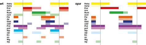 Figures And Data In Odd Paired Controls Frequency Doubling In