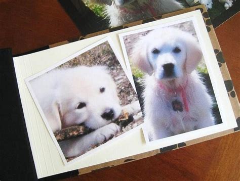 Dog Book Personalized Pet Photo Album Dog T New Puppy Etsy Uk