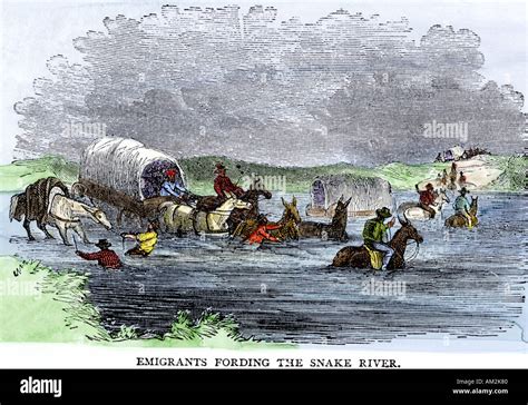 Pioneer Covered Wagon Fording The Snake River On The Oregon Trail 1800s