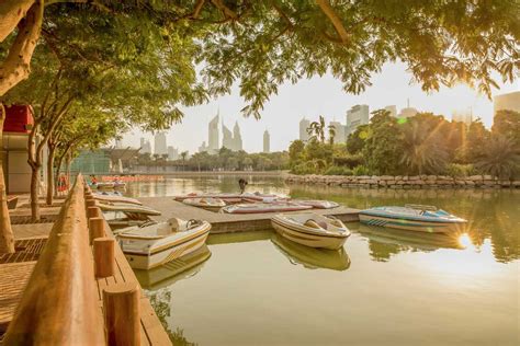 14 Best Picnic Spots In Dubai For A Perfect Day Out In 2024