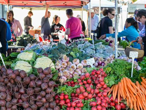 Harvest Launceston Community Farmers Market Festival And Event