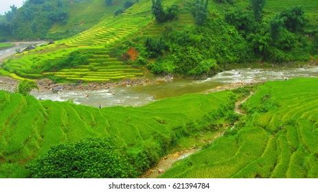 Sapa Rice Fields Vietnam Stock Photo 621402476 | Shutterstock