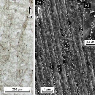 Microstructure Of IN939 In The As Built Condition A Optical