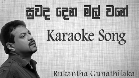 Suwada Dena Mal Wane Karaoke Without Voice With Lyrics Rukantha