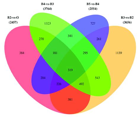 A Venn Diagram Showing The Shared And Unique Genes Between Different