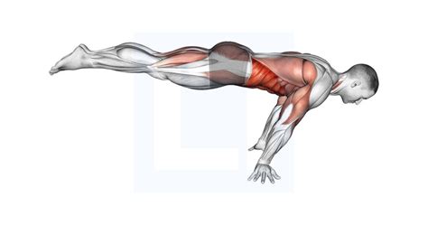 full planche guide benefits  form