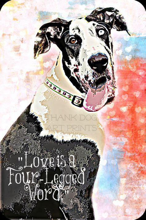 11 Great Dane Quotes Ideas Great Dane Dane Great Dane Dogs