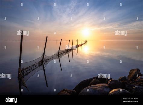 Fishing Net On Seawater During Sunrise In Ringkobing Fjord Denmark