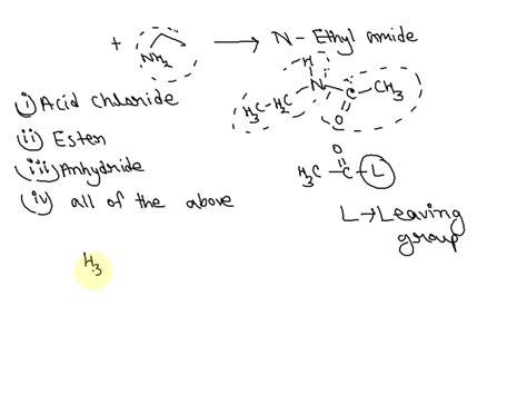 Solved Which Classes Of Compounds Could React With Ethylamine To Produce N Ethyl Amides Hznt N