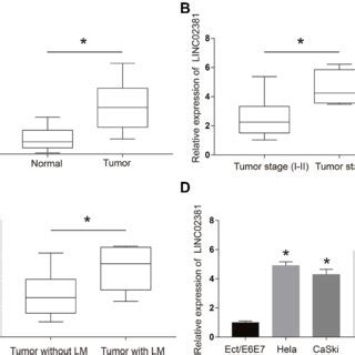 Knockdown Of Linc Inhibited Cervical Cancer Cell Viability