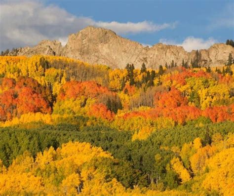 Fall in Colorado- 15 Great Spots for Colorado Fall Foliage