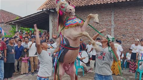 Wow Kuda Terbang Kuda Loncat Kuda Jumping Kuda Joget Arjuna Stable